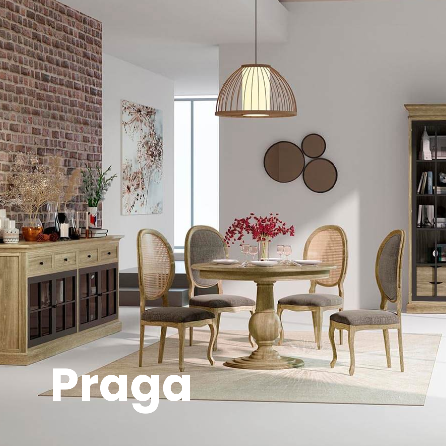 Salon Praga